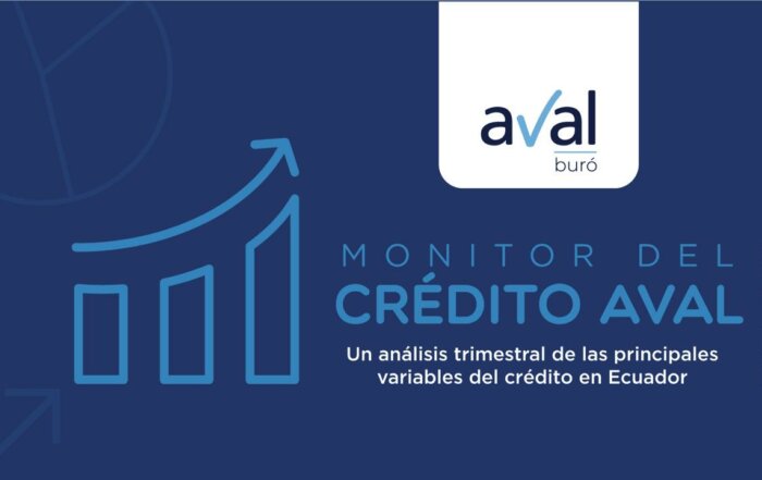 El Monitor del crédito 2024